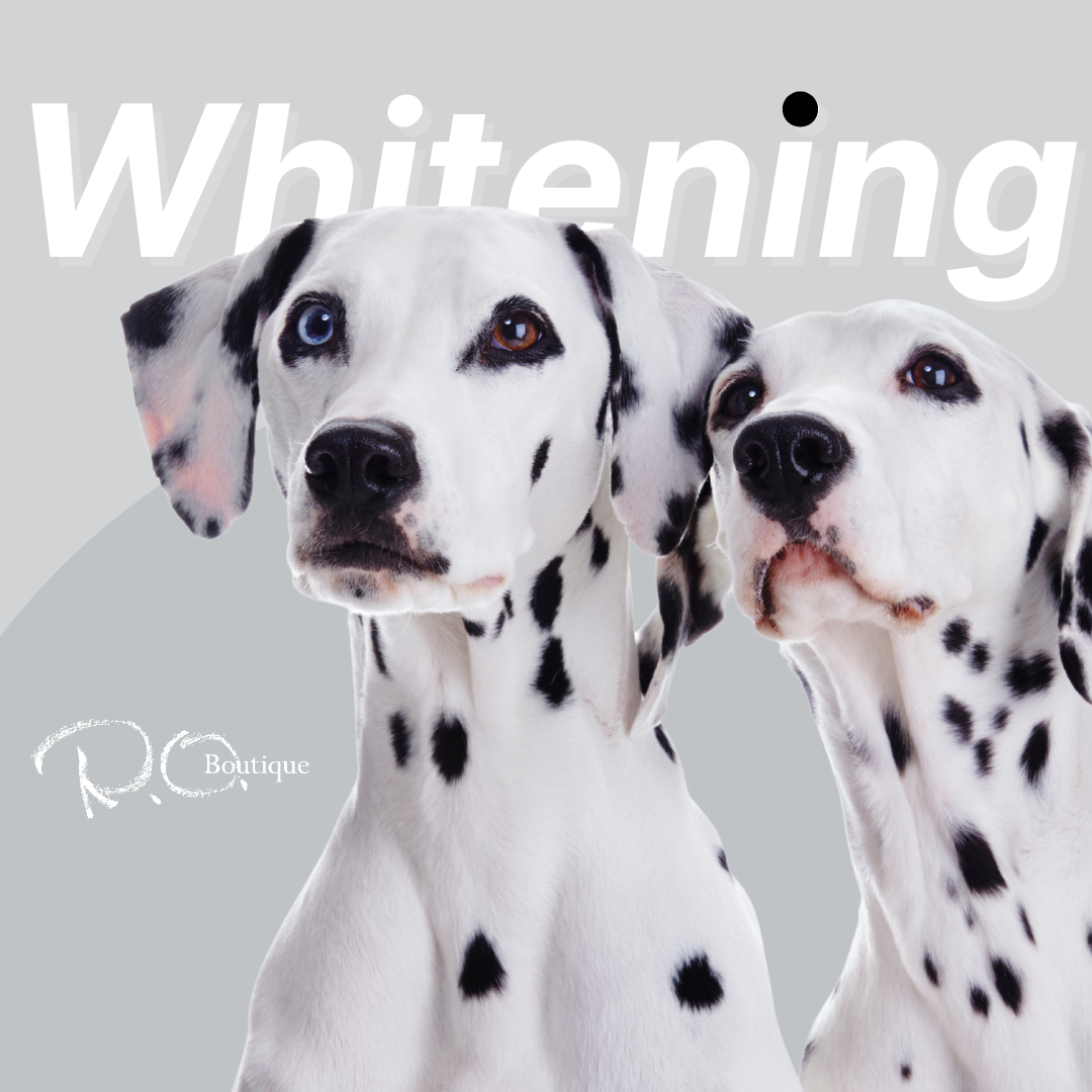 美白をケアをしよう✨